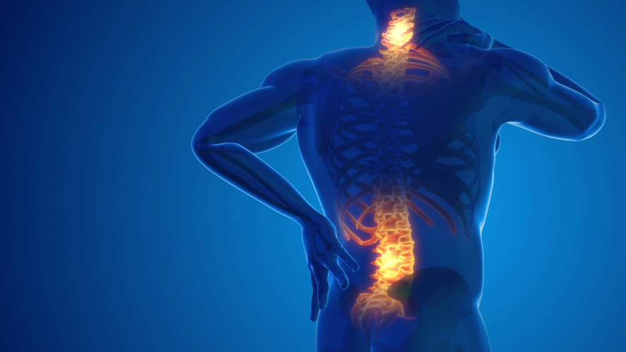 Pain in the back and neck joint 3D illustration